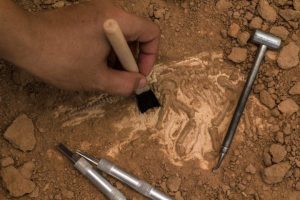 Grondwerkzaamheden Archeologie Archeologisch Ondergronds Sanering