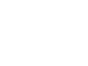ministerie van defensie